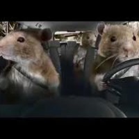 Nielsen chooses David & Goliath's Kia campaign as best in US as European business reviews