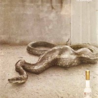 Vitek Vodka sends up Polish connection in new JayGrey campaign