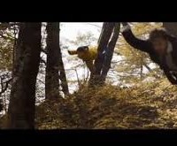 George Patterson Y&R takes a tumble for Schweppes