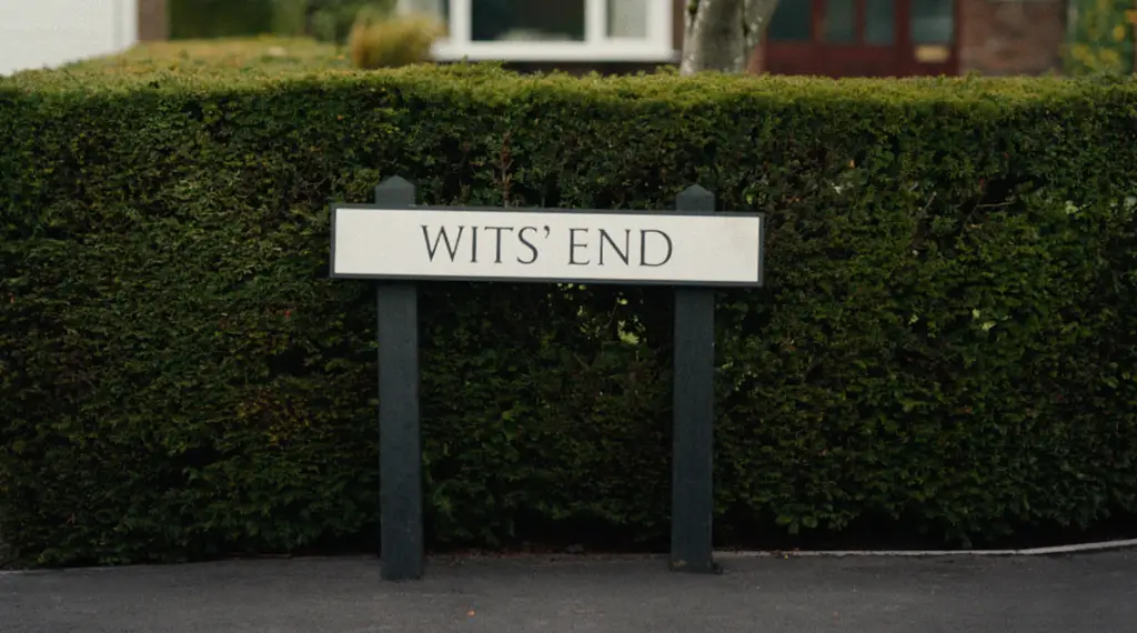 Dunelm takes us to Wits End as financial squeeze tightens More About