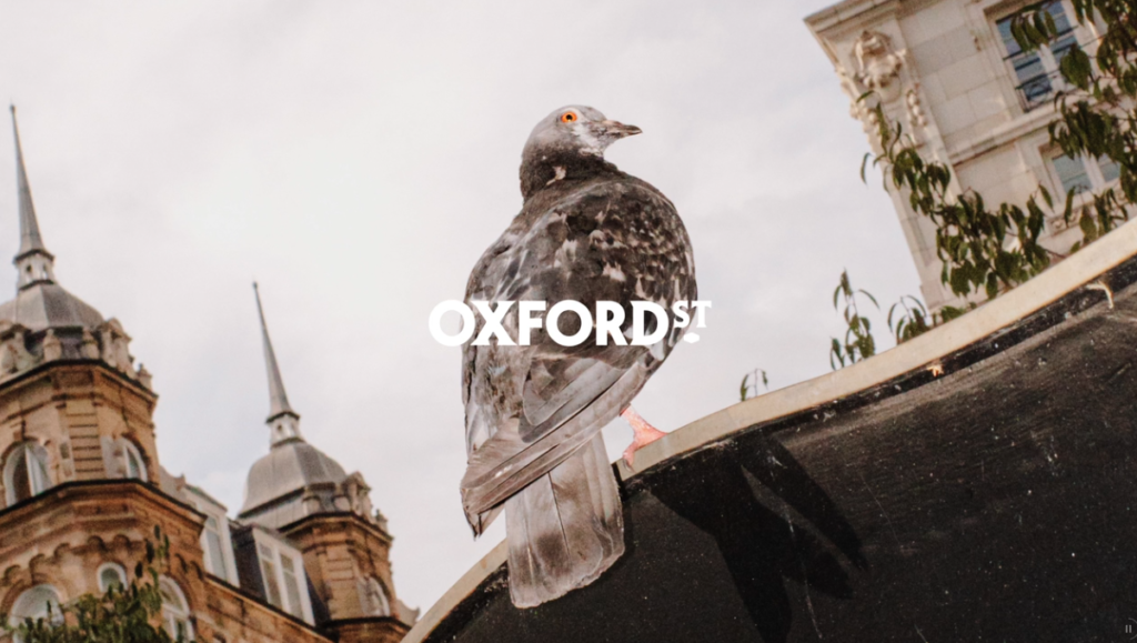 Oxford Street joins the crowd in the hope of attracting the hordes